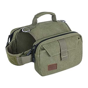 Exploring the Best Wolf Pup Camper Models: A Comprehensive Review